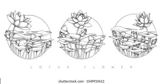 Lotus Flower Illustration, Pointillism Artstyle, Hand Drawn, Isolated Vector