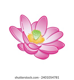 Lotus flower illustration. Suitable for designs on t-shirts, jackets, hoodies, sweaters, stickers, etc.