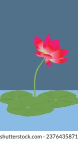 Lotus flower illustration vector image 