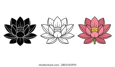 Lotus Flower Illustrations Black White And Pink Color Variations