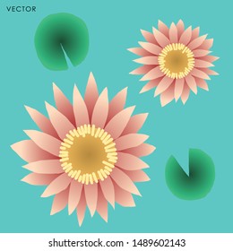 Lotus flower isolate, Vector illustration design element