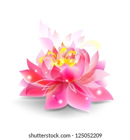 Lotus flower isolated