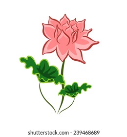 lotus flower isolated illustration on white background
