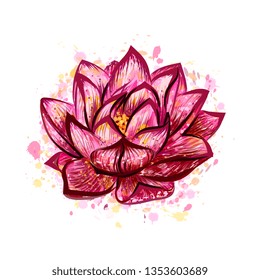 Lotus flower isolated on white, hand drawn sketch. Vector illustration