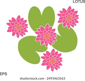 Lotusblume. Isolierter Lotus auf weißem Hintergrund