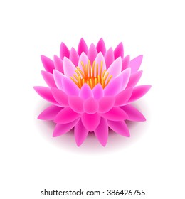 Lotus flower isolated on white photo-realistic vector illustration