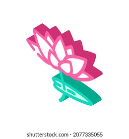 lotus flower isometric icon vector. lotus flower sign. isolated symbol illustration