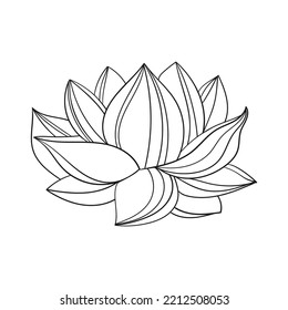 La flor de Lotus es un gran brote abierto. simple dibujo de un loto con pétalos curvos.