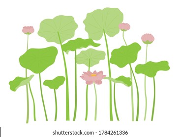 Lotus flower and lotus leaf. flat design style minimal vector illustration.