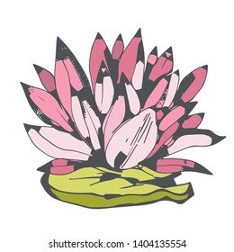Lotus flower, leaf. Sketch hand drawn isolated on white background