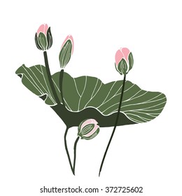 Lotus flower with leaf and two buds isolated vector design. Botanical composition on white paper