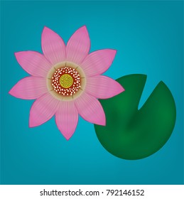 Lotus flower with Leaves on blue background. 
