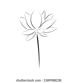 Lotus Flower, line art vector illustration