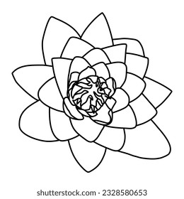 vector de arte de la línea de flores del loto