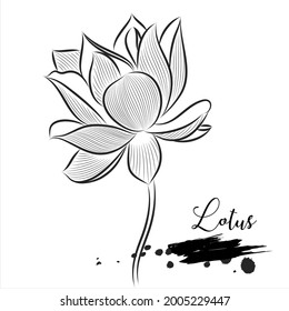Lotus flower line vector illustration