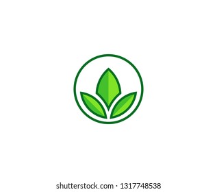Lotus flower logo 