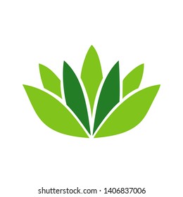 Lotus flower logo beauty care template logo vector. 
Beauty Vector flowers image.