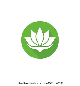 lotus flower logo design