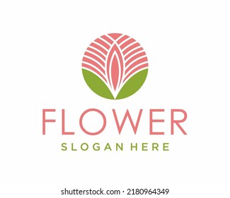 Lotus Flower logo design inspiration, Beauty spa logo, flower icon