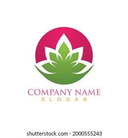 Lotus flower logo and symbol vector