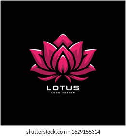  lotus flower logo vector design