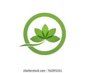 Lotus flower logos symbols icon