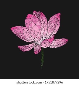 Lotus Flower , Low Poly Illustration, Isolated Vector