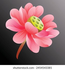 lotus flower object game props vector mixed raster