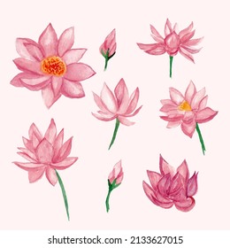 Lotus flower object with watercolor style