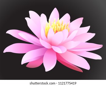 Lotus flower on dark background. Vector illustration.