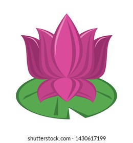 Lotus flower on leaf cartoon isolated vector illustration graphic design