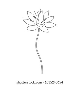 Lotus flower on white background. One line drawing style.