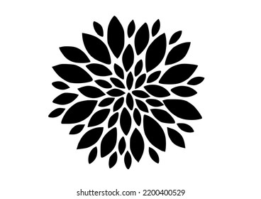 Lotus Flower, on white background