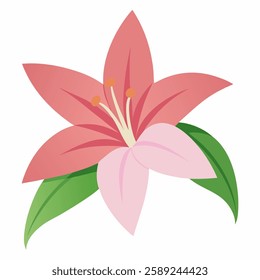 lotus flower on white background  