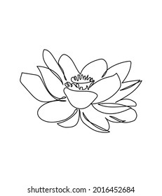 Lotus flower one line art. Continuous line drawing of plants, herb, flower, blossom, nature, flora, water lily.