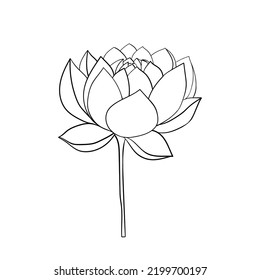 Lotus flower open on a stem. Lotus icon for invitations and cards, business cards