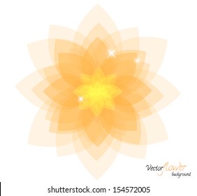 Lotus flower. Orange and yellow colored lotus. Vector illustration on white. Natural theme.