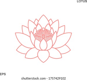 Lotus flower outline. Isolated lotus on white background