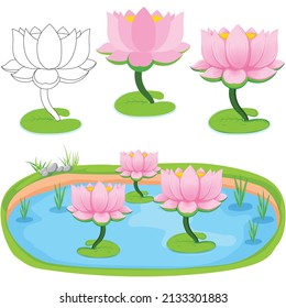 Lotus flower in the pond with multiple variation