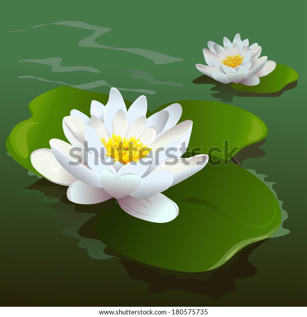 Lotus Flower Pond Vector Illustration Stock Vector (Royalty Free) 180575735