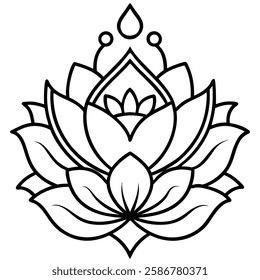 Lotus flower royalty on white background