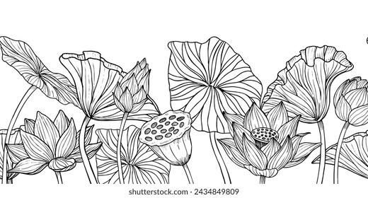 Lotus Flower seamless Border. Hand drawn vector illustration of waterlily plants on isolated background. Floral pattern for frame or spa Zen banner. Drawing in black and white colors.