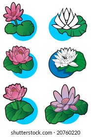 Lotus flower, set of 6 different lotuses, element for design, vector illustration