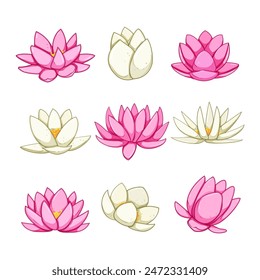 lotus flower set cartoon. plant blossom, nature pink, leaf yoga lotus flower sign. isolated symbol vector illustration