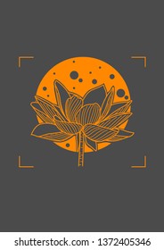 lotus flower simple