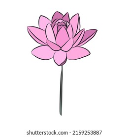 Lotus flower simple colored icon. Botanical bud for cards