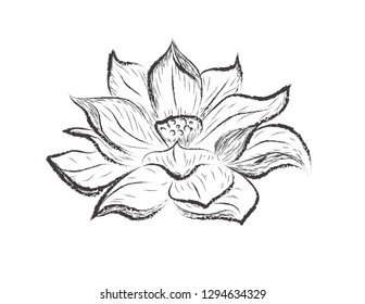Featured image of post Lotus Flower Sketch Design / Hand drawn sketch of lotus flower.