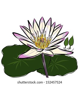 Lotus flower sketchbook vector