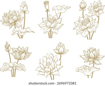 Conjunto de Vector de símbolo de flor de loto en estilo de arte de línea delicada
