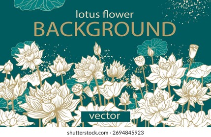 Lotus Flower Template, Botanical Vector Background. Perfect for luxury packaging, textile design, spa and yoga branding, or decorative wallpapers.
